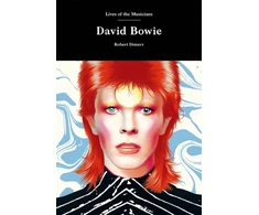 KNYGA Robert Dimery David Bowie