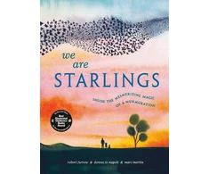 KNYGA Robert Furrow We Are Starlings