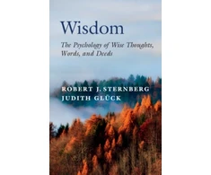 KNYGA Robert J Sternberg Wisdom