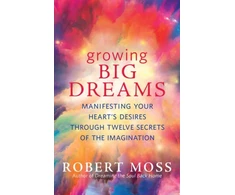 KNYGA Robert Moss Growing Big Dreams