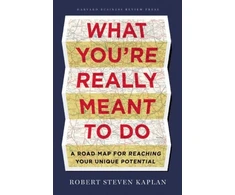 KNYGA Robert Steven Kaplan What You're Really Meant to Do