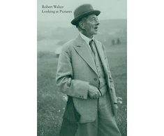 KNYGA Robert Walser Looking at Pictures