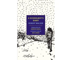 KNYGA Robert Walser Schoolboy's Diary