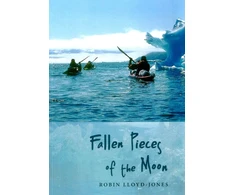 KNYGA Robin Lloyd Jones Fallen Pieces of the Moon