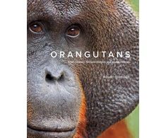 KNYGA Ronald Orenstein Orangutans, Their History, Natural History and Conservation