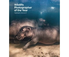 KNYGA Rosamund Kidman Cox Wildlife Photographer of the Year: Highlights Volume 9
