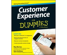 KNYGA Roy A Barnes Customer Experience For Dummies