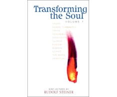 KNYGA Rudolf Steiner Transforming the Soul