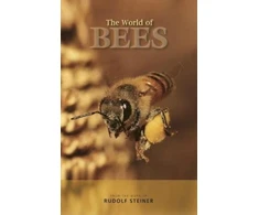 KNYGA Rudolf Steiner World of Bees