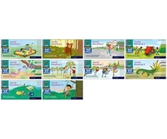 KNYGA Ruth Miskin Read Write Inc. Phonics: Sound Blending Book Bag Books (Pack of 100)
