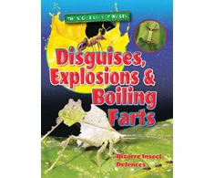 KNYGA Ruth Owen Disguises, Explosions and Boiling Farts