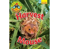 KNYGA Ruth Owen Wildlife Watchers: Harvest Mouse