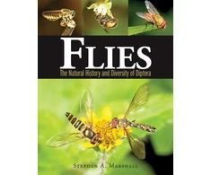 KNYGA S A Marshall Flies