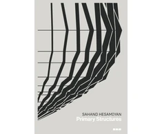 KNYGA Sahand Hesamiyan: Primary Structures