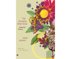 KNYGA Salim Barakat Universe, All at Once