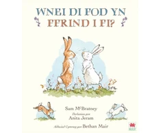 KNYGA Sam Mc Bratney Wnei Di Fod yn Ffrind i Mi? / Will You Be My Friend?
