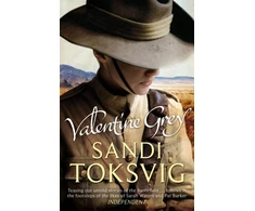 KNYGA Sandi Toksvig Valentine Pilkas