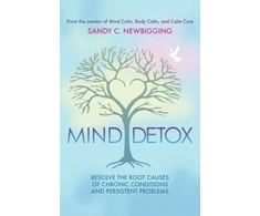 KNYGA Sandy C Newbigging Mind Detox