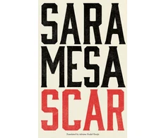KNYGA Sara Mesa Scar
