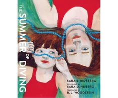 KNYGA Sara Stridsberg Summer of Diving
