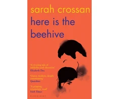 KNYGA Sarah Crossan Here is the Beehive