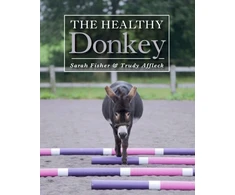 KNYGA Sarah Fisher Healthy Donkey