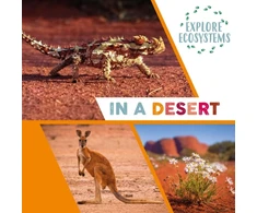 KNYGA Sarah Ridley Explore Ecosystems: In a Desert