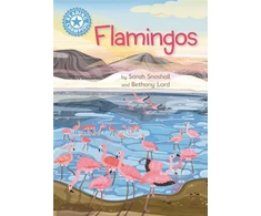KNYGA Sarah Snashall Reading Champion: Flamingos