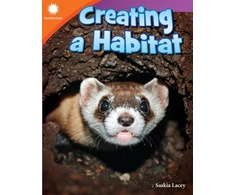 KNYGA Saskia Lacey Creating a Habitat