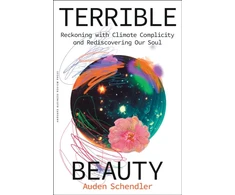 KNYGA Schendler Terrible Beauty
