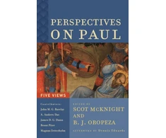KNYGA Scot Mcknight Perspectives on Paul – Five Views