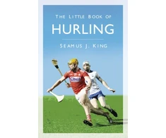 KNYGA Seamus J King Little Book of Hurling