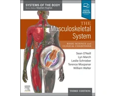 KNYGA Sean Oneill Musculoskeletal System