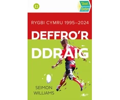 KNYGA Seimon Williams Stori Sydyn: Deffro'r Ddraig