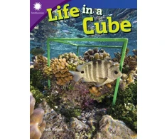 KNYGA Seth Rogers Life in a Cube