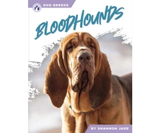 KNYGA Shannon Jade Bloodhounds