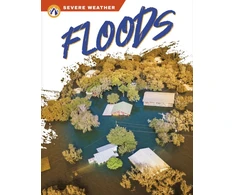 KNYGA Sharon Dalgleish Floods