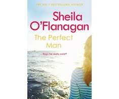 KNYGA Sheila Oflanagan Perfect Man