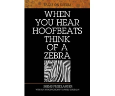 KNYGA Shems Friedlander When You Hear Hoofbeats Think of a Zebra