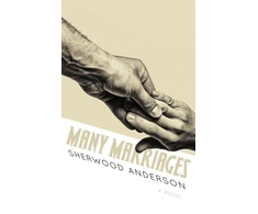KNYGA Sherwood Anderson Many Marriages