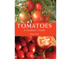 KNYGA Simon Hart Tomatoes