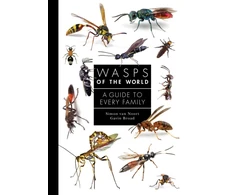 KNYGA Simon Van Noort Wasps of the World