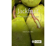 KNYGA Sisir Mitra Jackfruit