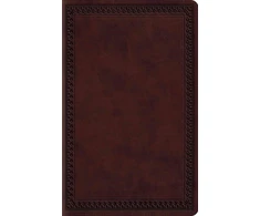 KNYGA Spck ESV Large Print Value Thinline Bible