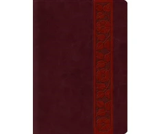 KNYGA Spck ESV Study Bible, Large Print
