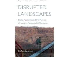 KNYGA Stefan Dorondel Disrupted Landscapes