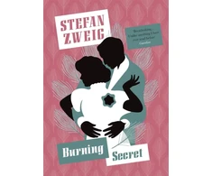KNYGA Stefan Zweig Burning Secret
