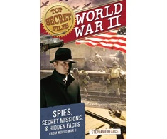 KNYGA Stephanie Bearce Top Secret Files