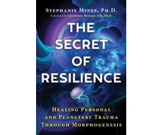 KNYGA Stephanie Mines Secret of Resilience
