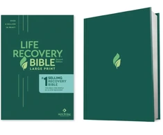 KNYGA Stephen Arterburn Life Recovery Bible NLT, Large Print